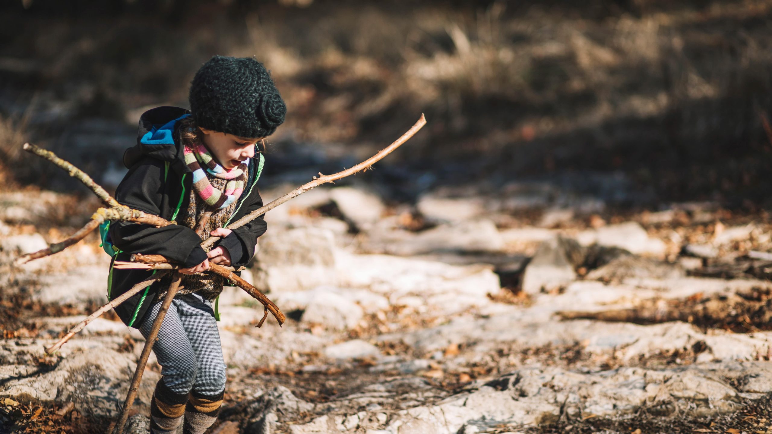Forest schools : les écoles alternatives vertes