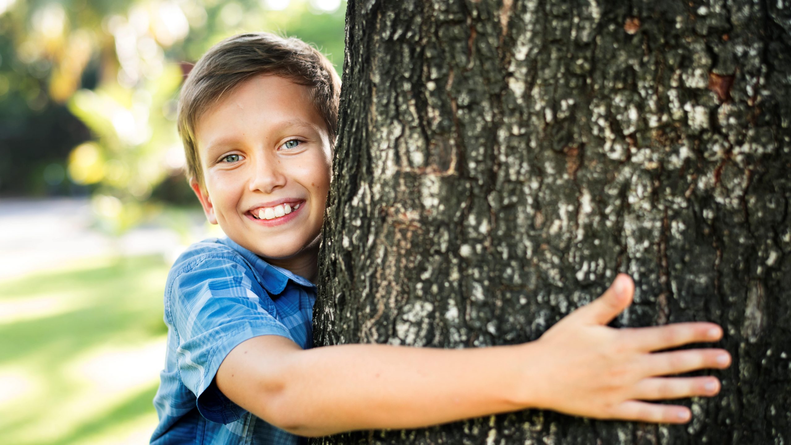 Les Etats-Unis, aux origines des forest schools