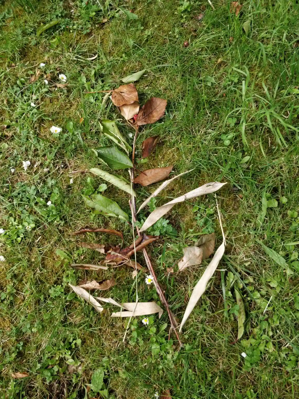 Fleur créée par les enfants 2