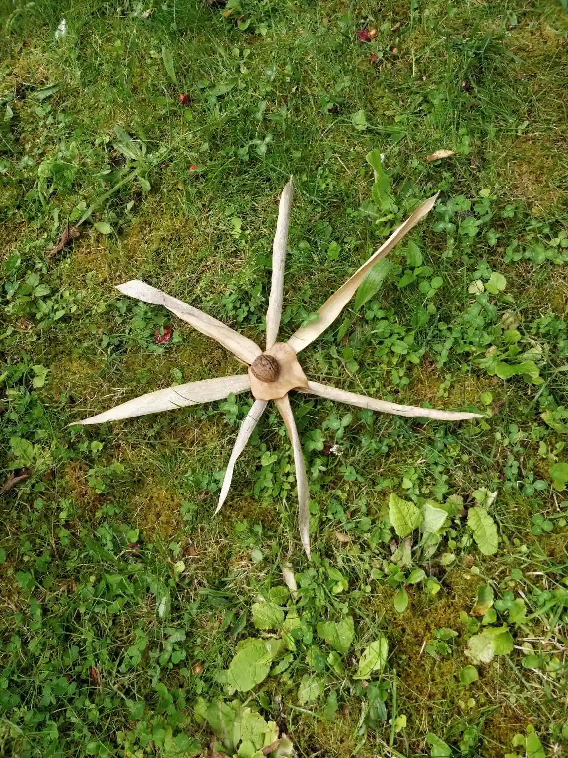 Fleur créée par les enfants 3