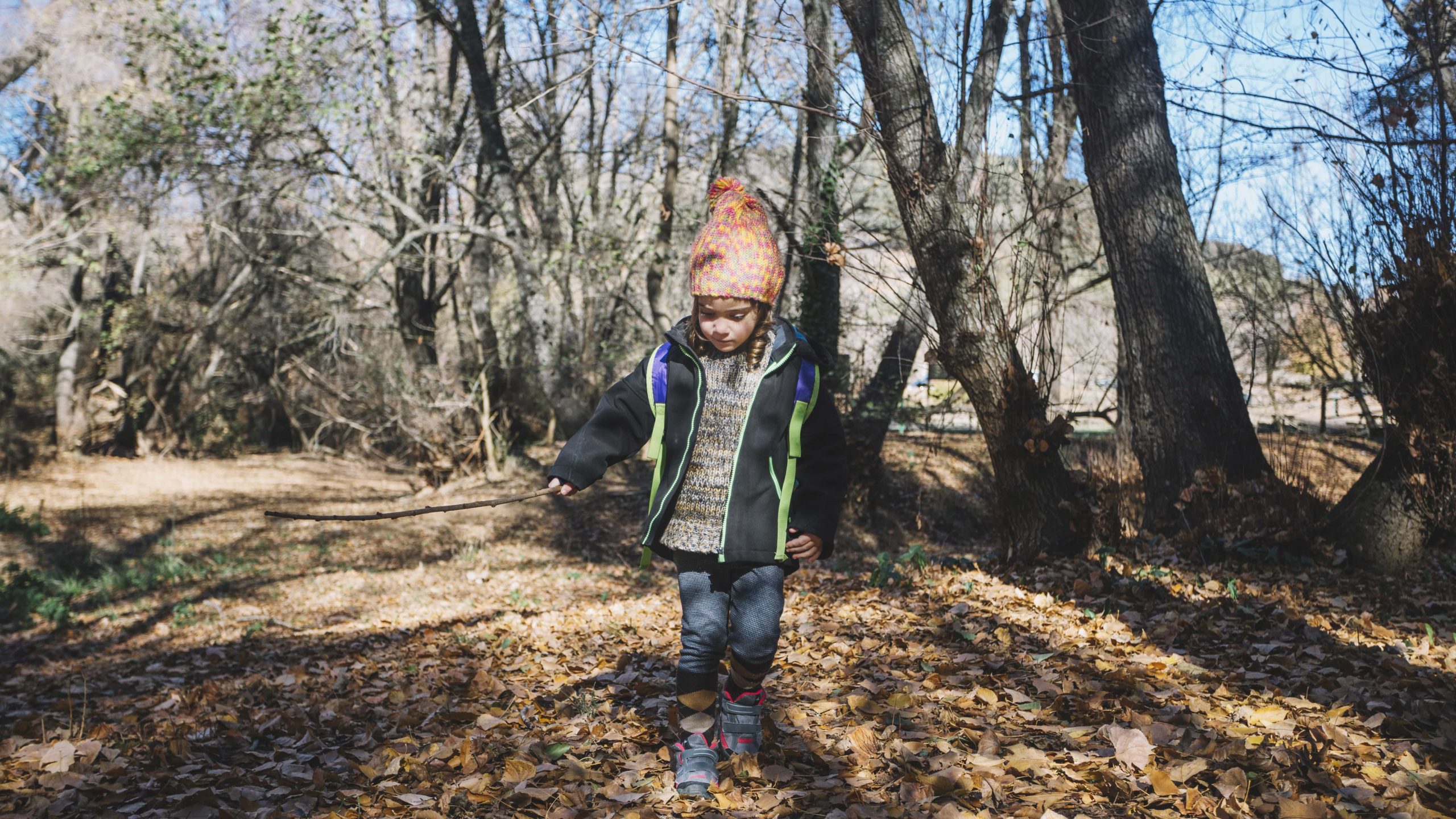 Forest schools au Danemark : une philosophie de vie