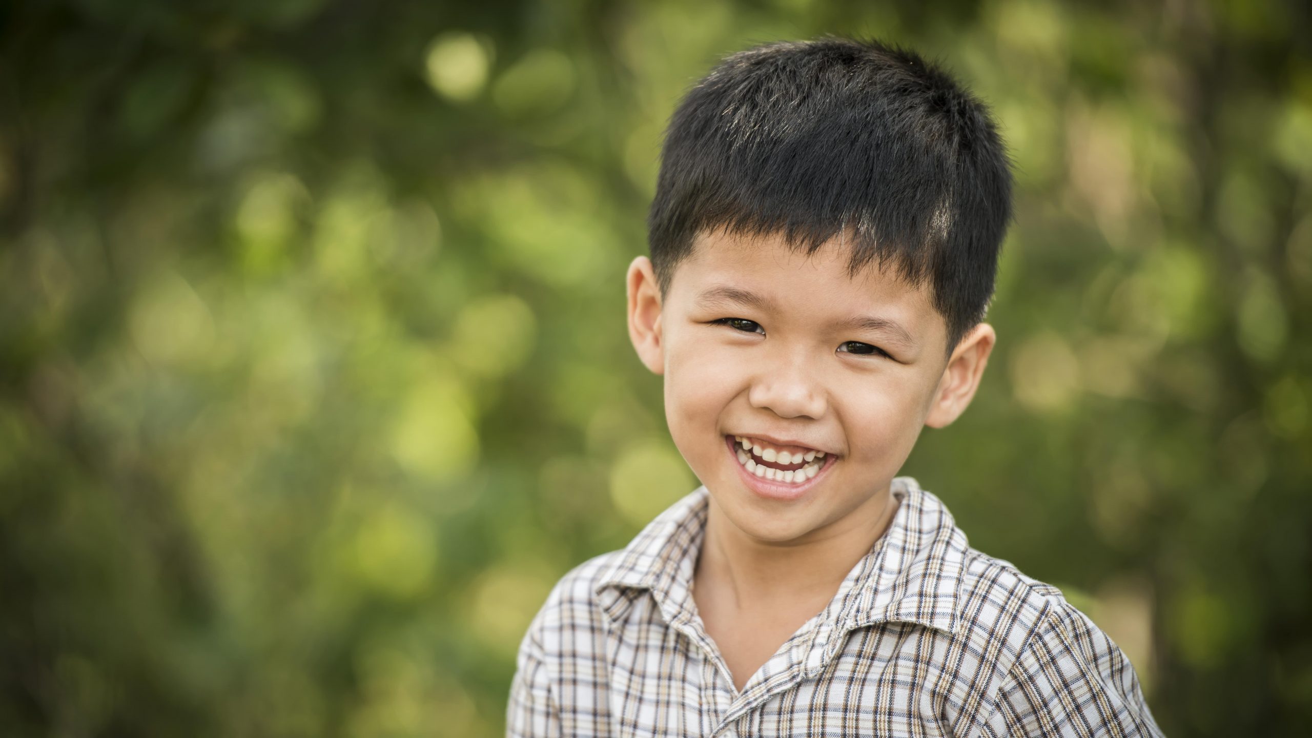 Forest schools au Japon : Shinrin-yoku ou bains de forêt