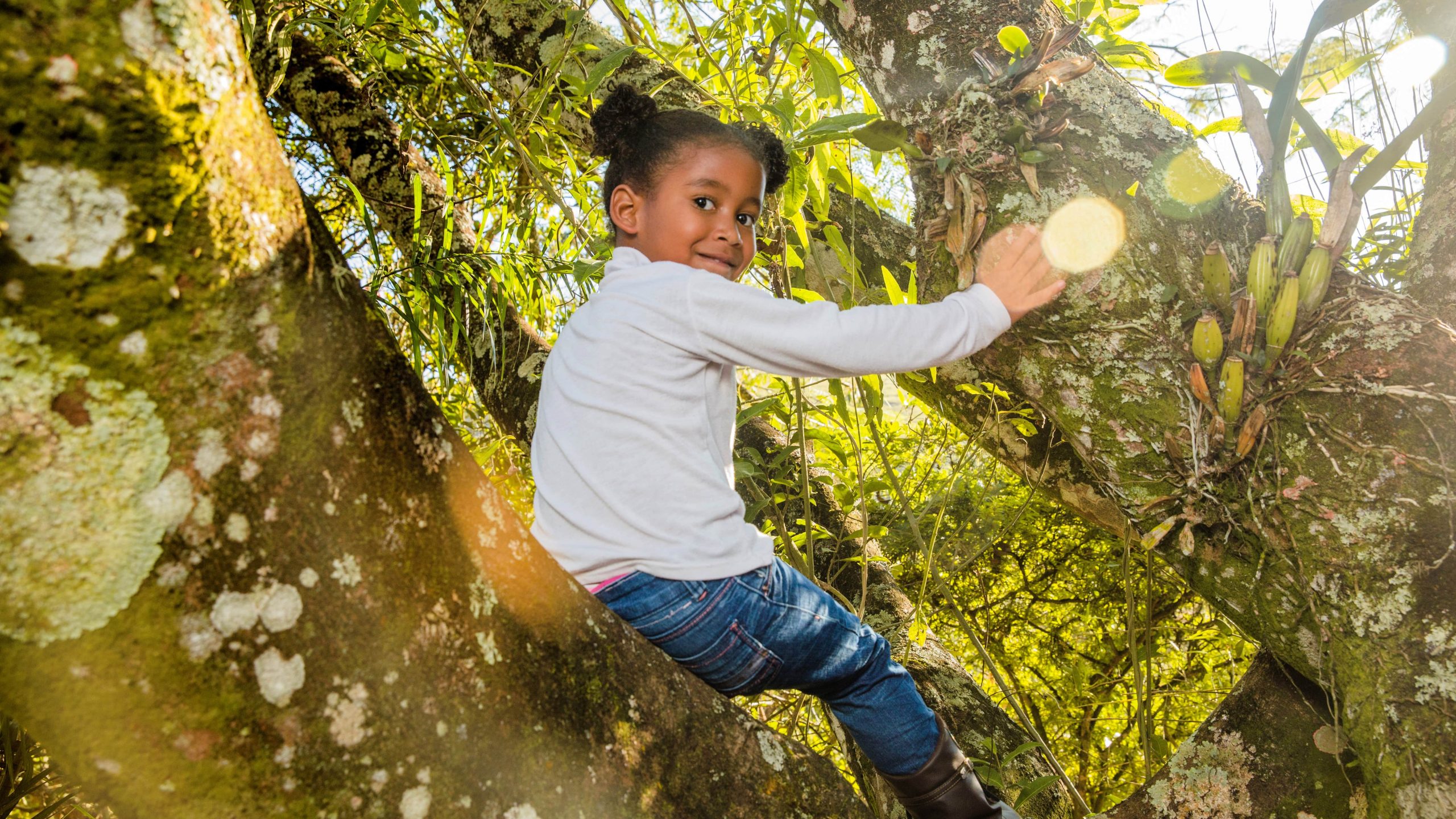 Les forest schools au Royaume-Uni, une vraie institution
