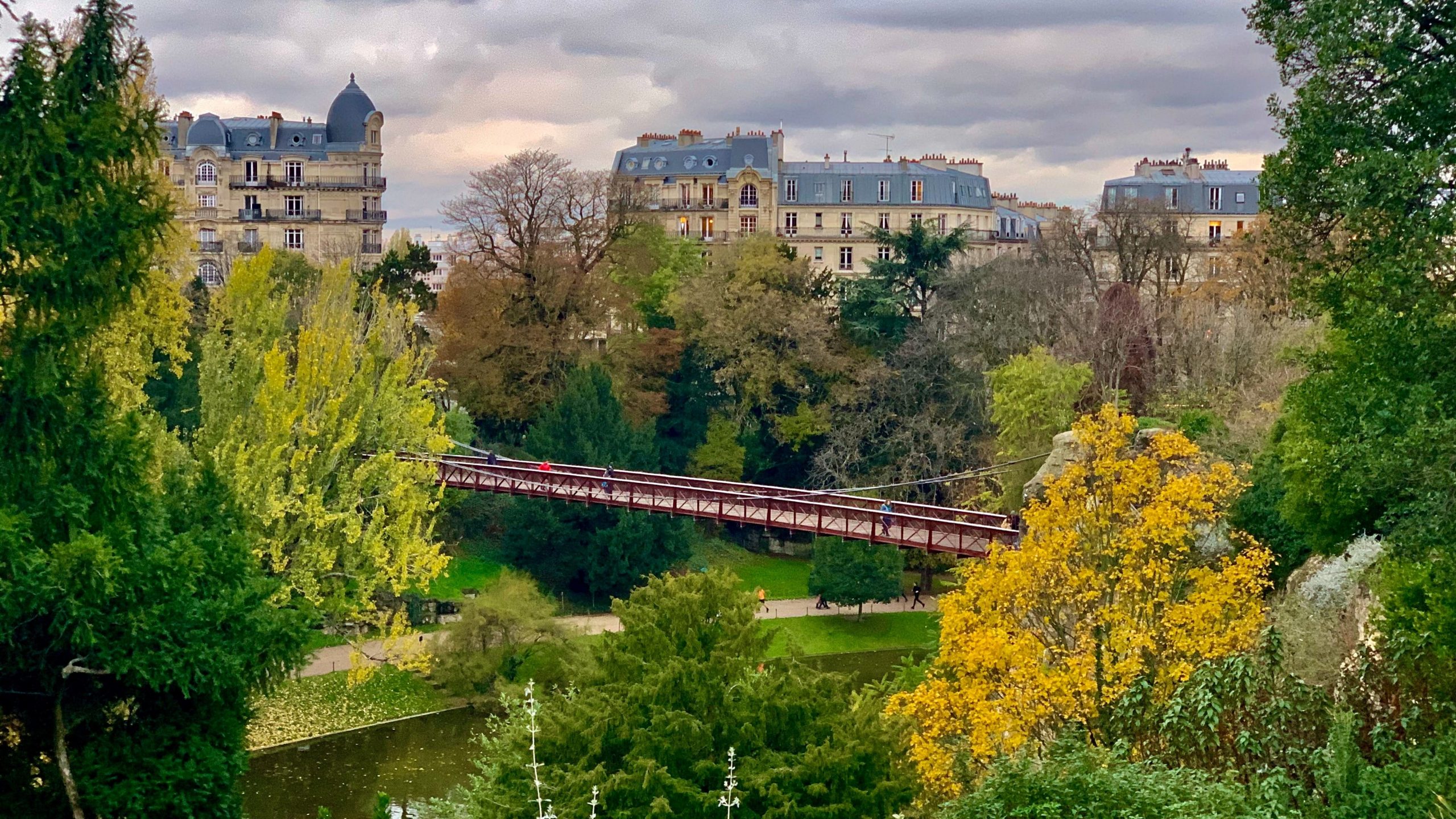 Nature en ville : son importance et sa diversité