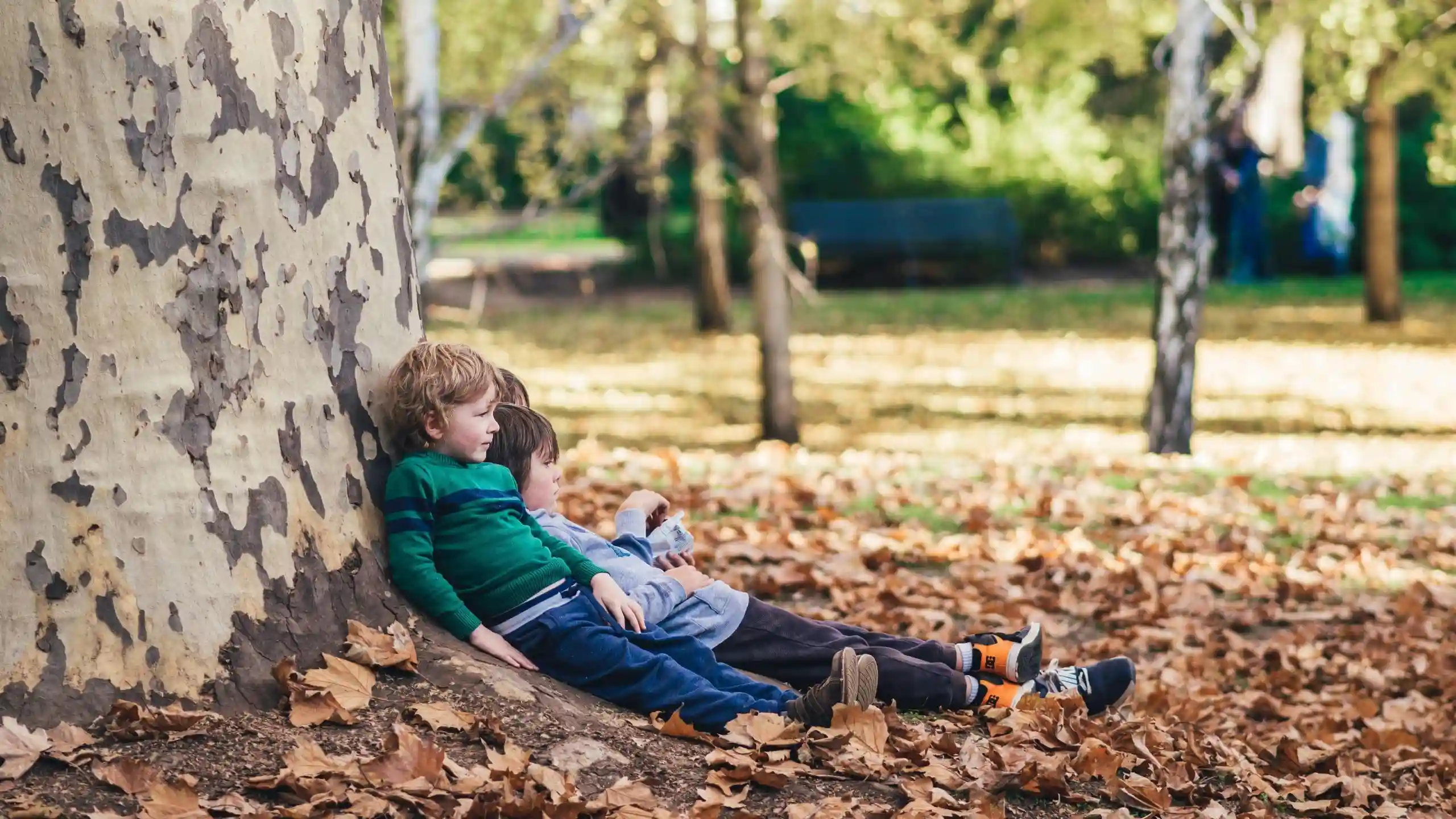 Forest schools en France : où trouver une école en forêt ?