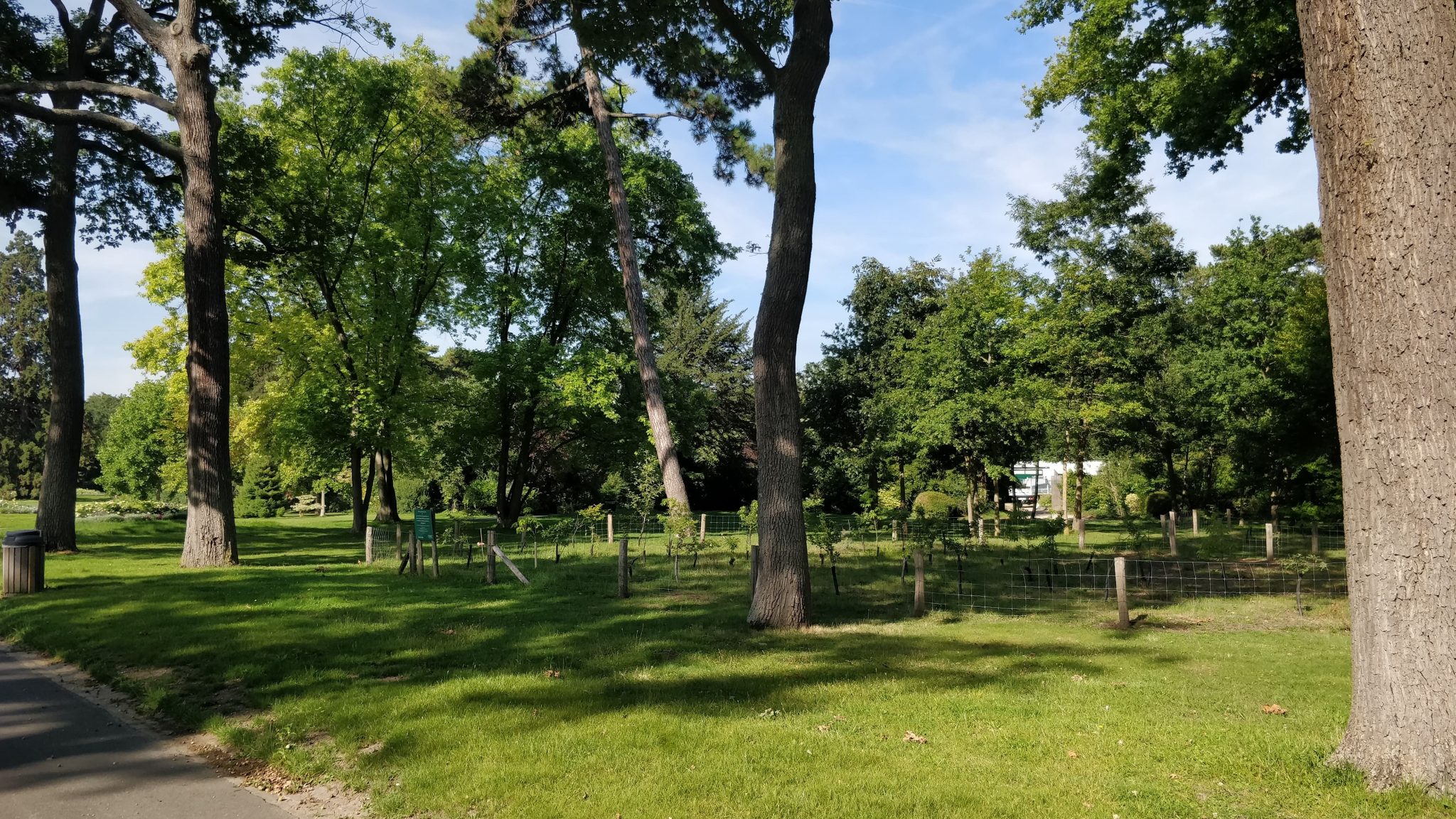 Les meilleurs coins de verdure pour jouer dehors à Paris