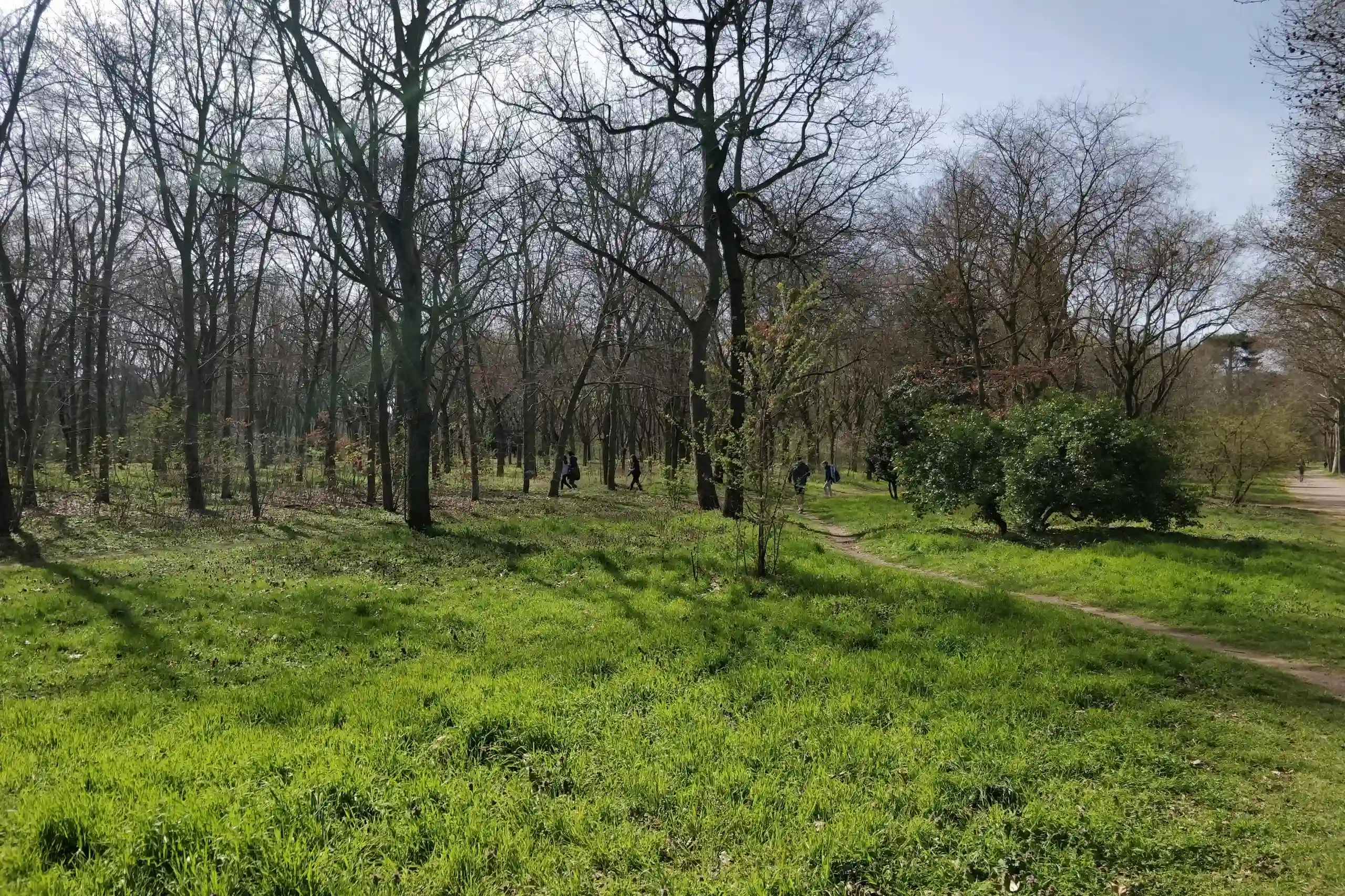 Bois de Boulogne — Paris 16e — Passy