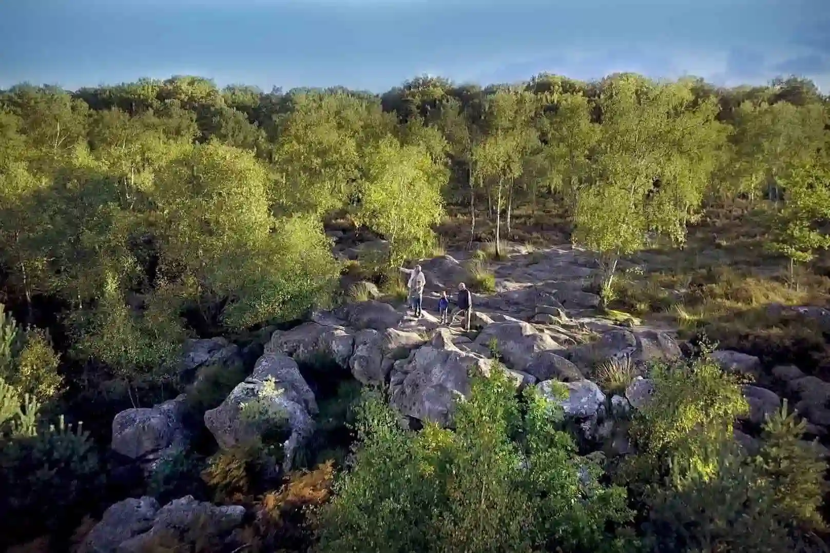 Forêt de Fontainebleau — Fontainebleau