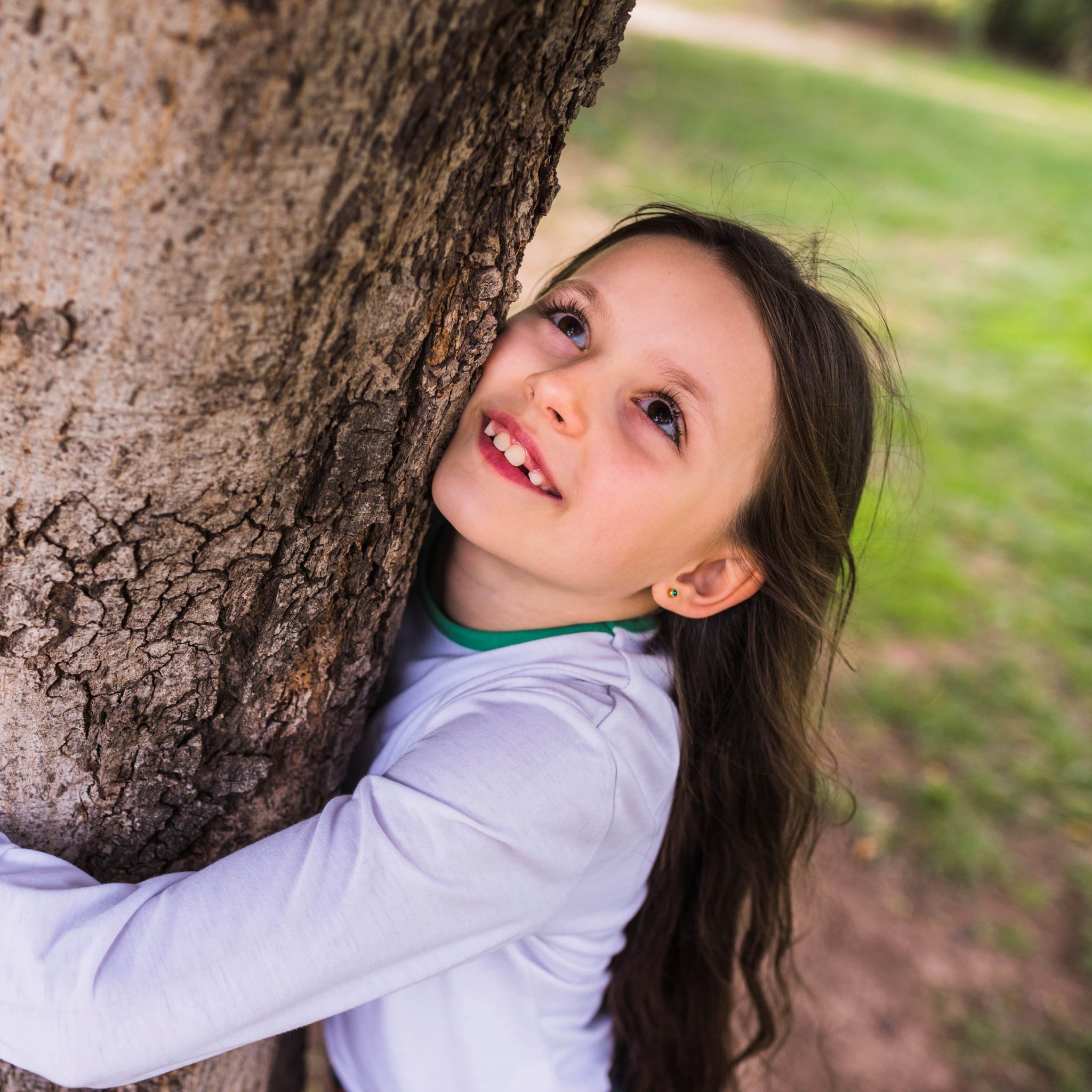 Connexion à la nature