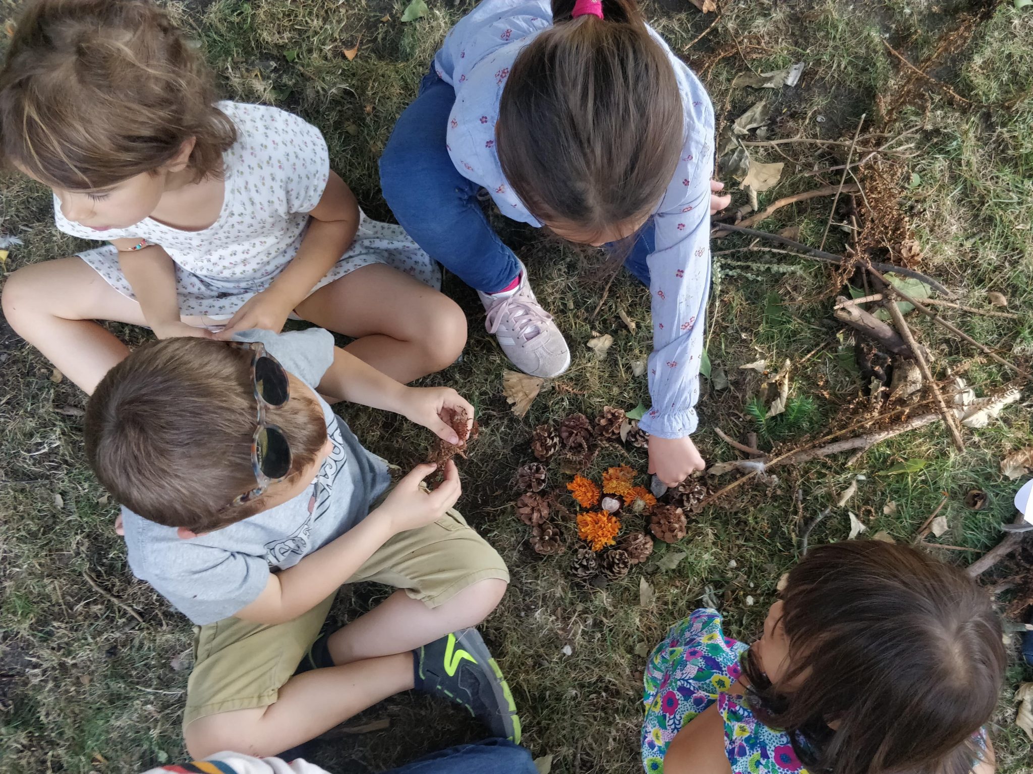 Les vers de terre architectes